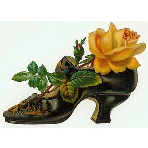 Vic shoe rose
