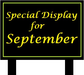 Special Display icon